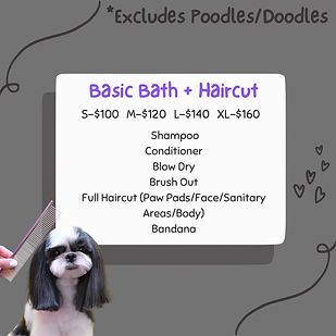Basic Bath and haircut