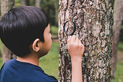 Examining trees in September.jpg