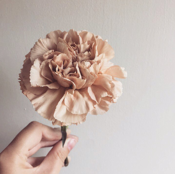 Peach Carnation Wedding Flower