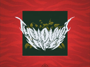 CVLTSHIP new release – The Wounds Licker