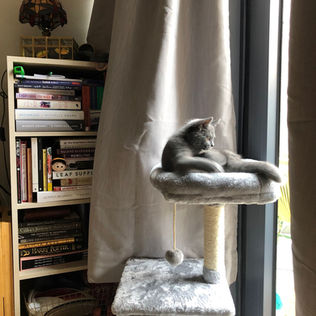 WhatsApp Image 2022-03-20 at 14.23.39.jpeg