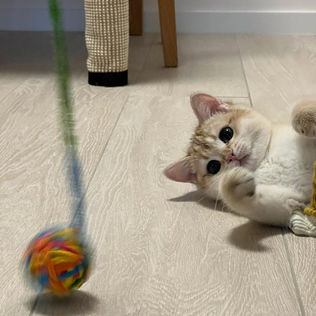 WhatsApp Image 2022-02-20 at 08.18.56.jpeg