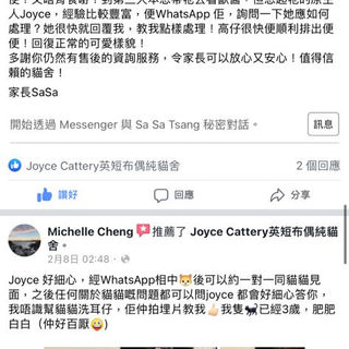 Sasa Tsang.jpeg