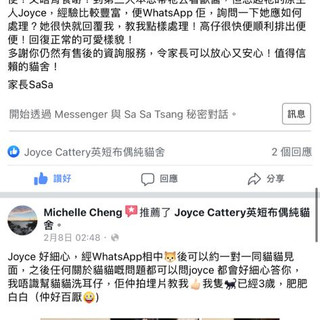 Sasa Tsang.jpeg