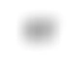 The Best Makeup Brushes for Flawless Application