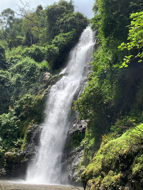 IMG_8026.JPG