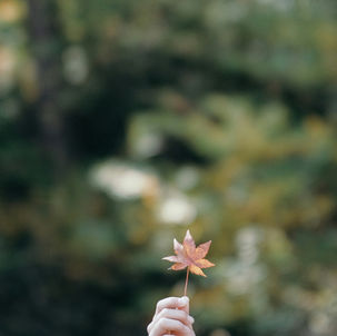 Balance is broken. Here's what actually works.