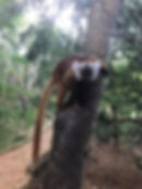 Madagascar