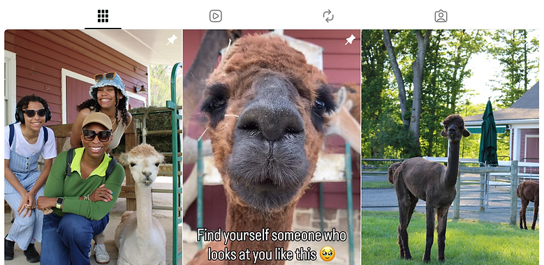 Insta Banner Update from 8.4.26.png