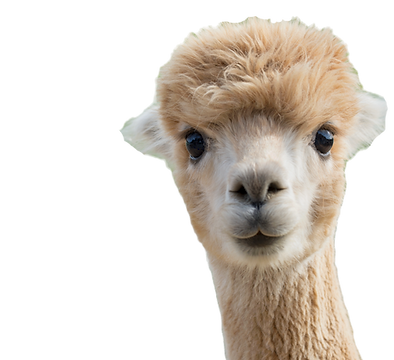 Candied Apple_edited.png