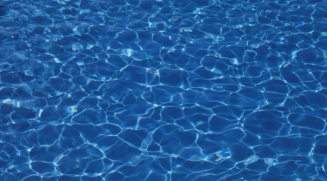Splash Pool Chemicals & Supplies photo 1