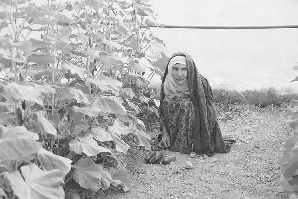 Greenhouse promotional video screenshot showing a woman at work, part of an agriculture & sustainability video by Bidar Video