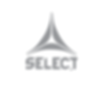 SELECT