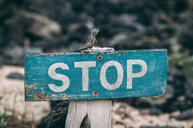 Photo Courtesy of Jose Aragones - Stop Sign