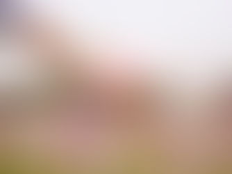 Photo Courtesy of Suhyeon Choi woman with her hand touching cosmos