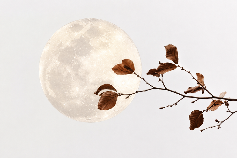 The Moon with a tree