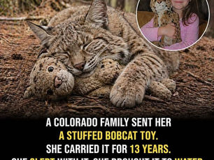 A Story About Loss, Holding On, and the Love That Doesn’t Leave Us