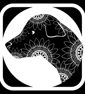 PETZONE PLACE LOGOS (1).png