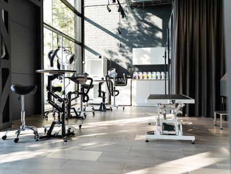 Tauro Pro Line México