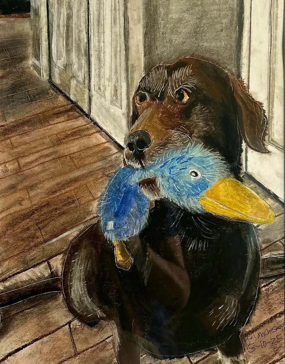 Dog With Duck