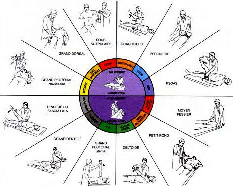 Cours Touch For Health 1
