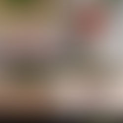 Exploring the Versatility of QueenBird Copper Mesh: Beyond Pest Control