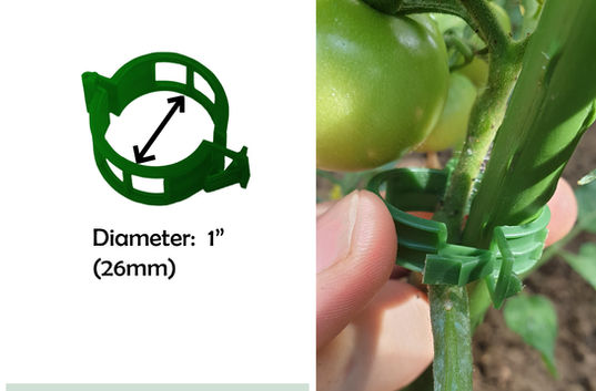 plant support clips.jpg