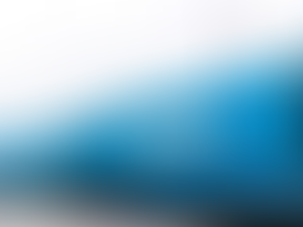 FESCO moves Vietnamese vehicles via Vladivostok port to Kazakhstan