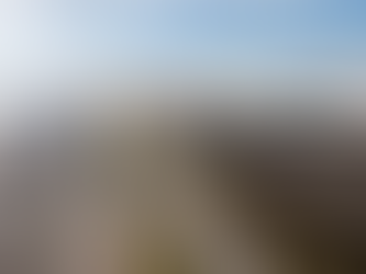 Psa Zeebrugge powers 50% of electricity needs with over 1,800 vertical solar panels