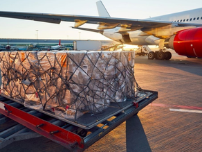 IATA Launches DG Digital to Fully Digitalize Dangerous Goods Declarations