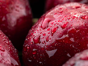 Why visibility matters more than ever in cold chain logistics