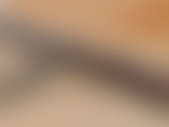 UAE ropes in rail for supply chain resilience