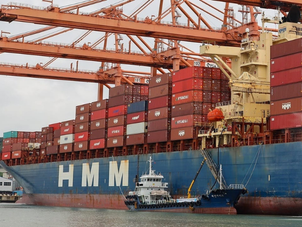 HMM Reports 37% Drop in First-Half Net Profit Amid Market Uncertainty
