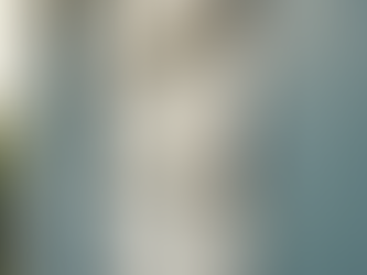 How to Rodent-Proof Your Home Effectively