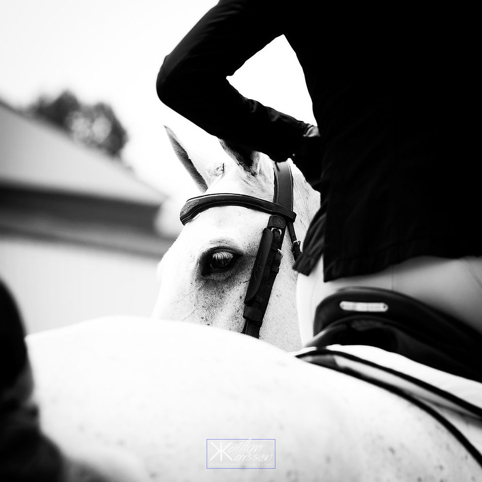 equestrian.jpg