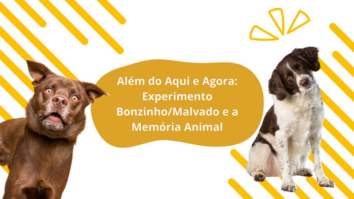 experimento Antonio Damasio