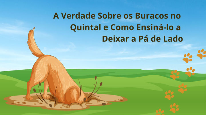 como fazer para o cachorro não cavar buracos