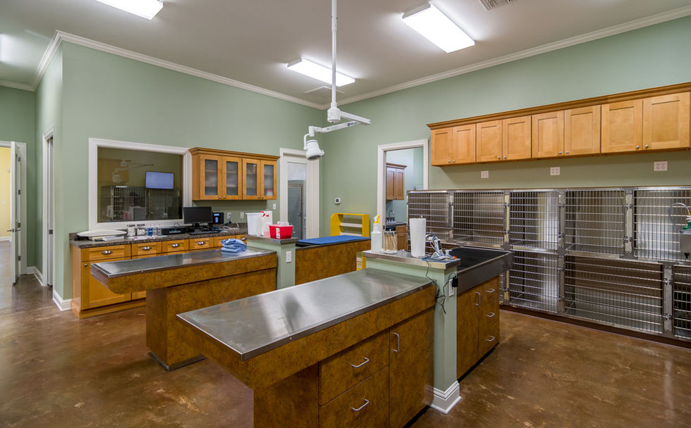 Provenance Veterinary Hospital Construction Shreveport (45)