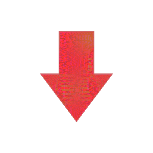 giphy.gif