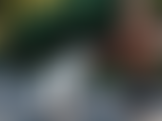 Hundepsychologie – deinen Hund besser verstehen