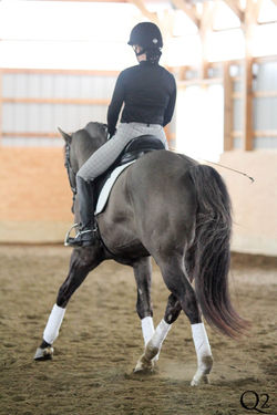 Cwell Equine Frontaliera Per Cavallo Con Cristalli - Dressage Bling 5 File Di Cristalli Chiaro - Pelle Marrone Per Pony