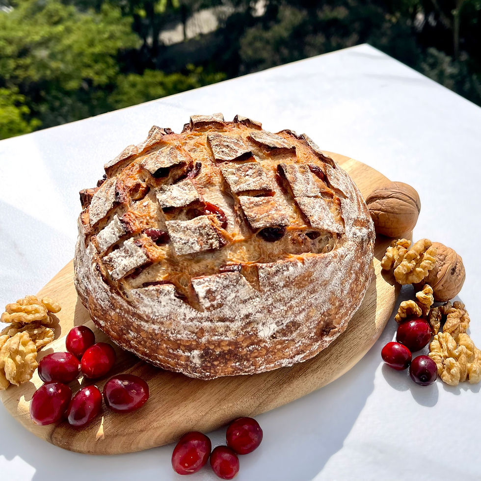 Walnut and Cranberry Sourdough Bread