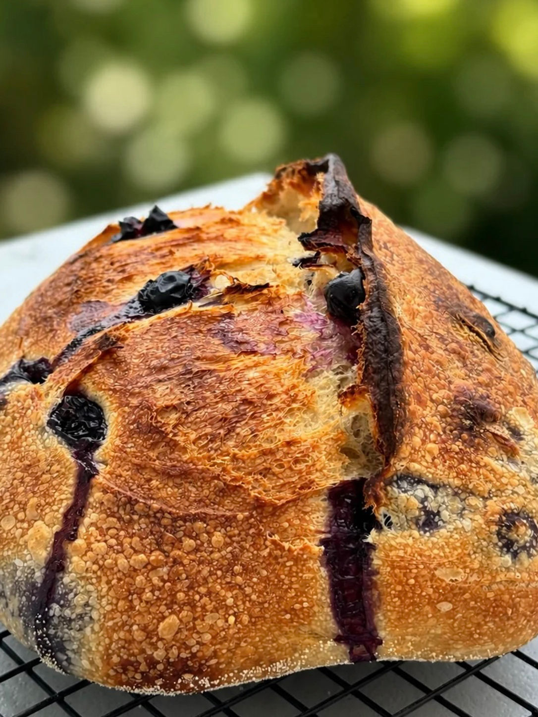 Sourdough infused with lemon zest and blueberries 