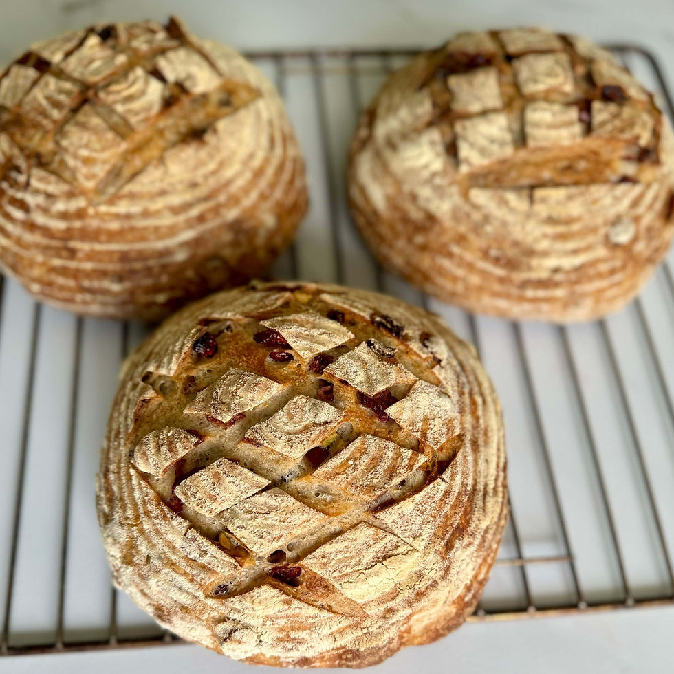 Walnut and Cranberry Sourdough Bread