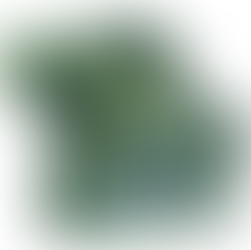 Il parco-museo Ca' La Ghironda ospiterà Danza Arte Natura, XIII convegno DES