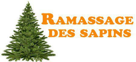 Vendredi 10 janvier: La collecte des sapins de Noël