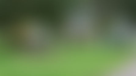 Une zone de loisirs est née grâce au travail de bénévoles