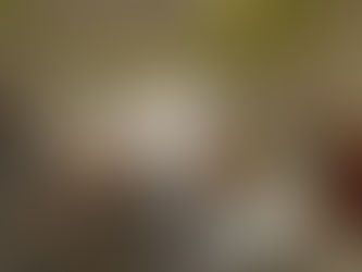 Périscolaire - Repas à thème