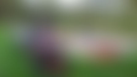 OLYMPROPRES Une première ... une réussite