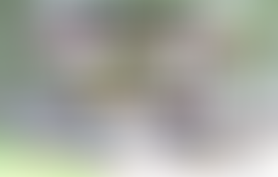 Dimanche 11 Juin 2017: Vide grenier organisé par l'association des Retraités et veuves de retrai